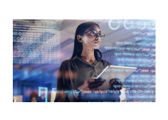 プログラミング / 開発